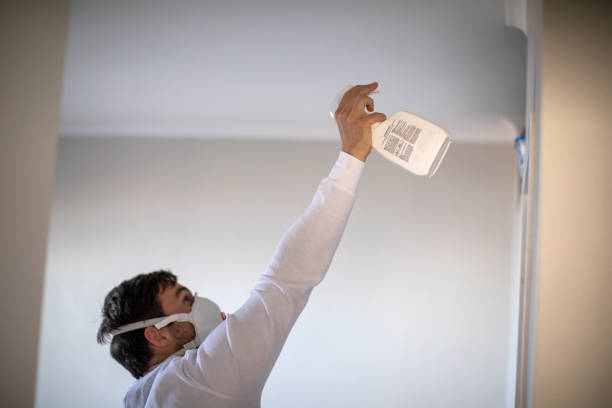 Best Crawl Space Mold Removal  in Mesilla, NM
